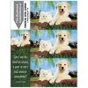Medical Arts Press Generic Laser Postcards Photo Image 3-Up Laser Postcards With Bookmark, Dog/Cat Fence, 100/Pk -Epson Shop m002247793 s7