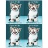 Medical Arts Press Dental Laser Postcards Photo Image Postcards; For Laser Printer; Open Wide, 100/Pk -Epson Shop s0842718 s7