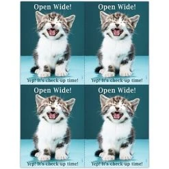 Medical Arts Press Dental Laser Postcards Photo Image Postcards; For Laser Printer; Open Wide, 100/Pk