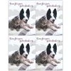 Medical Arts Press Veterinary Laser Postcards Photo Image Postcards; For Laser Printer; Pet's Check-up, 100/Pk -Epson Shop s0842891 s7