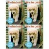 Medical Arts Press Generic Laser Postcards Photo Image Postcards; For Laser Printer; Dog In Mailbox, 100/Pk -Epson Shop s0843119 s7