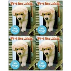 Medical Arts Press Generic Laser Postcards Photo Image Postcards; For Laser Printer; Dog In Mailbox, 100/Pk