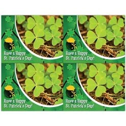 Medical Arts Press Generic Laser Postcards Photo Image Postcards; For Laser Printer; St. Patrick's, 100/Pk