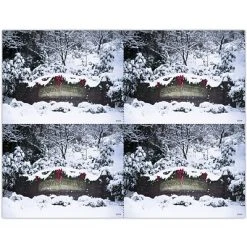 Medical Arts Press Generic Laser Postcards Photo Image Postcards; For Laser Printer; Snow, 100/Pk