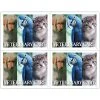 Medical Arts Press Veterinary Laser Postcards Photo Image Postcards; For Laser Printer; Veterinary Care, 100/Pk -Epson Shop s0845049 s7