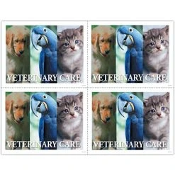 Medical Arts Press Veterinary Laser Postcards Photo Image Postcards; For Laser Printer; Veterinary Care, 100/Pk