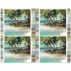Medical Arts Press Generic Laser Postcards Photo Image Postcards; For Laser Printer; Holiday Series, Palm Trees, 100/Pk -Epson Shop s0845054 s7