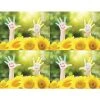 Medical Laser Postcards Medical Arts Press® Photo Image Postcards; For Laser Printer; Hands & Flower Smile, 100/Pk