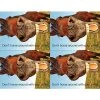 Medical Laser Postcards Medical Arts Press® Photo Image Postcards; For Laser Printer; Back To School Horse, 100/Pk
