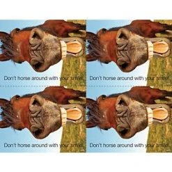 Medical Laser Postcards Medical Arts Press® Photo Image Postcards; For Laser Printer; Back To School Horse, 100/Pk
