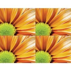 Generic Laser Postcards Medical Arts Press® Photo Image Postcards; For Laser Printer; Orange Flower, 100/Pk