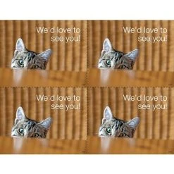 Generic Laser Postcards Medical Arts Press® Photo Image Postcards; For Laser Printer; Cat Behind Table, 100/Pk