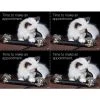Generic Laser Postcards Medical Arts Press® Photo Image Postcards; For Laser Printer; Cat With Phone, 100/Pk