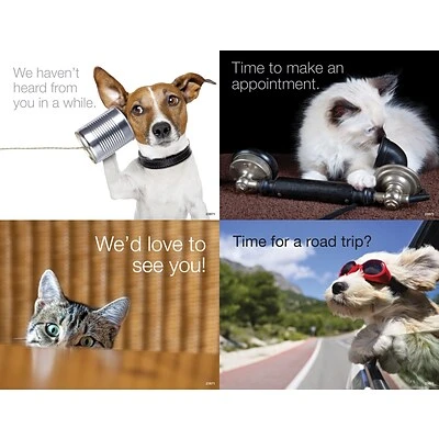 Generic Assorted Laser Postcards Medical Arts Press® Photo Image Assorted Postcards; For Laser Printer; Dogs And Cats, 100/Pk 3 Generic Assorted Laser Postcards Medical Arts Press® Photo Image Assorted Postcards; For Laser Printer; Dogs And Cats, 100/Pk