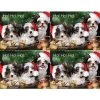 Generic Laser Postcards Medical Arts Press® Photo Image Postcards; For Laser Printer; Puppies In Santa Hat, 100/Pk