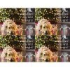 Generic Laser Postcards Medical Arts Press® Photo Image Postcards; For Laser Printer; Dog In Holiday Lights, 100/Pk
