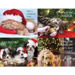 Generic Assorted Laser Postcards Medical Arts Press® Photo Image Assorted Postcards; For Laser Printer; Holiday Pets, 100/Pk