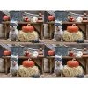 Generic Laser Postcards Medical Arts Press® Photo Image Postcards; For Laser Printer; Dog In Mask With Pumpkin, 100/Pk