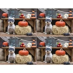 Generic Laser Postcards Medical Arts Press® Photo Image Postcards; For Laser Printer; Dog In Mask With Pumpkin, 100/Pk