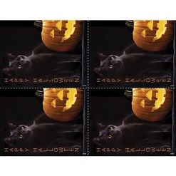 Generic Laser Postcards Medical Arts Press® Photo Image Postcards; For Laser Printer; Black Cat With Pumpkin, 100/Pk