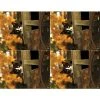 Generic Laser Postcards Medical Arts Press® Photo Image Postcards; For Laser Printer; Cat In Fall Cart, 100/Pk -Epson Shop s0863373 s7